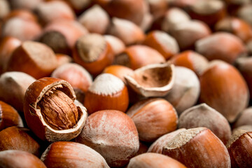 Hazelnuts in the shell.
