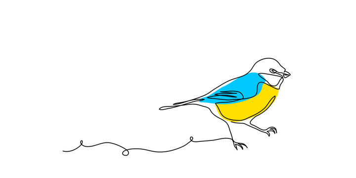 Great tit bird vector pattern in blue and yellow colors. One continuous line art drawing of great tit