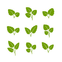 Set of green leaves. Flat style. Vector illustration.	