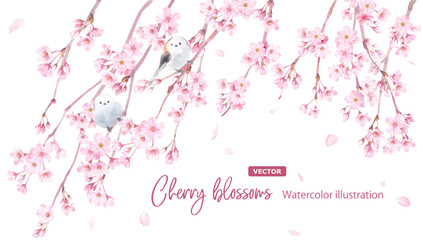 春の花：枝垂れ桜と小鳥（エナガ）2羽の水彩イラスト。バナー背景。（ベクター。レイアウト変更可能）