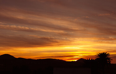 Beautiful colorful orange sunset or sunrise over the mountains and palm tree silhouette. Sky with clouds lit by sun natural background.
