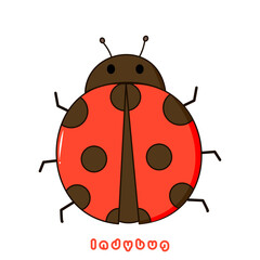 Vector illustration of cute ladybug cartoon isolated on white background