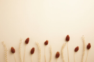 flat lay of romantic dried flowers on a beige background