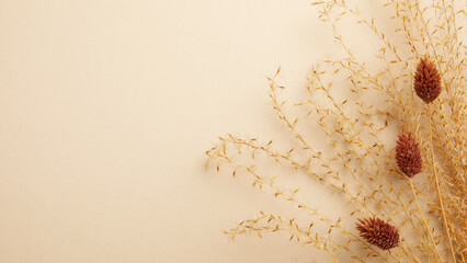 autumn mood with dried flowers and pastel beige background. flat lay and copy space