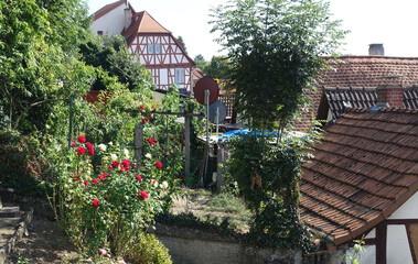 Garten in Zwingenberg