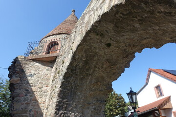 Die Aul in Zwingenberg