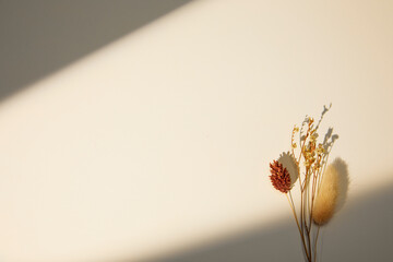 dried flowers with sunlight shadow on beige background. flat lay and copy space