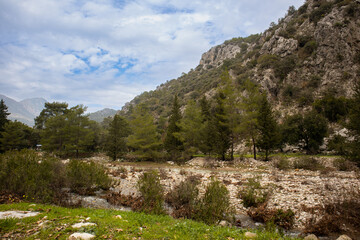 Fototapeta na wymiar Mountain river flowing between the mountains and the road