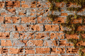 Old brick wall background close up