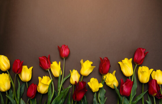 Multicolored tulips on a brown background with space for a copy. Red and yellow flowers on a paper background, Mother's Day, March 8, Valentine's Day, birthday, postcard, concept of spring holiday