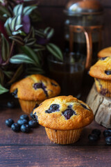 freshly baked homemade blueberry muffins on wooden table background.