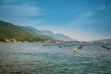 Mussel and oyster farms in the Bay of Kotor