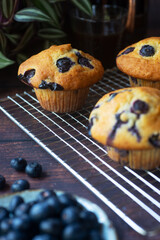 freshly baked homemade blueberry muffins on wooden table background.