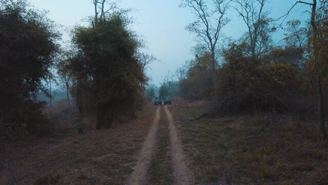 2 Gypsy waiting in middle of forest, Morning safari, Agarzari buffer zone, Tadoba National Park