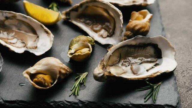 Closeup view of luxury seafood set with oysters and snails served with lemon and rosmarine on black platter