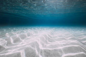 Underwater background in blue ocean with sand