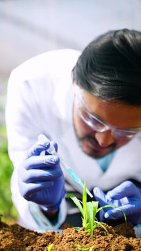 vertical reck focus shot of Focused agro scientist at laboratory adding chemical to small lab grown plant - concept of research, focused and invention or biotechnology.