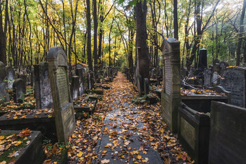 Old forgotten graves, tombs in Jewish cemetery in Warsaw, Poland, autumn foliage.	
