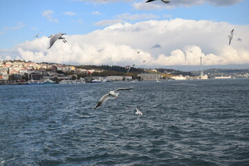 photos of the life in istanbul and amazing views with my professional camera 