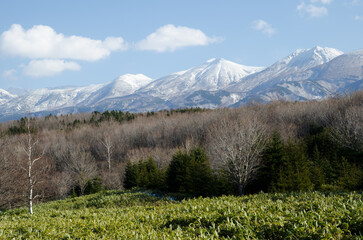 Mixed forest and Shiretoko Mountain Range. Shiretoko National Park. Shiretoko Peninsula. Hokkaido. Japan.