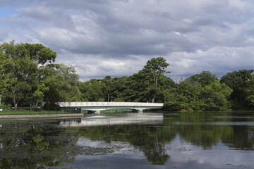 Bridge and pond