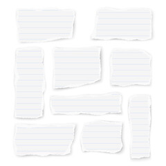 Set of ruled paper different shapes and orientation scraps isolated on white background. Vector illustration.