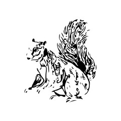Squirrel black and white sketch with transparent background
