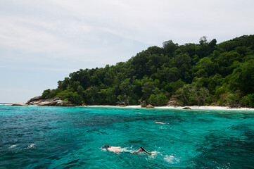 Snorkeling at clear turquoise water. Beautiful tropical bay.