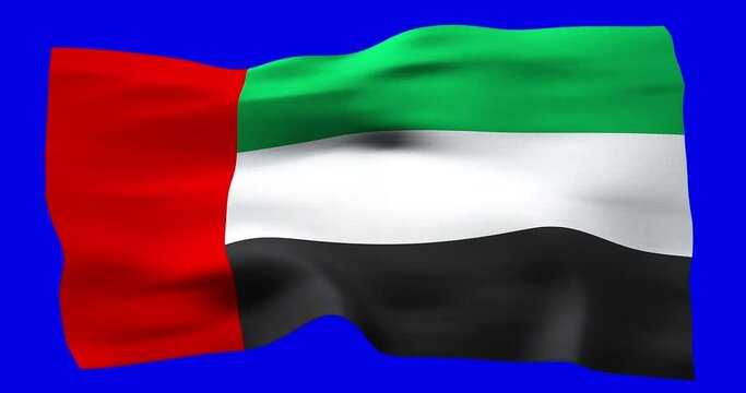 Flag of United Arab Emirates realistic waving on blue screen. Seamless loop animation with high quality