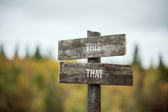 vintage and rustic wooden signpost with the weathered text quote this that, outdoors in nature. blurred out forest fall colors in the background.