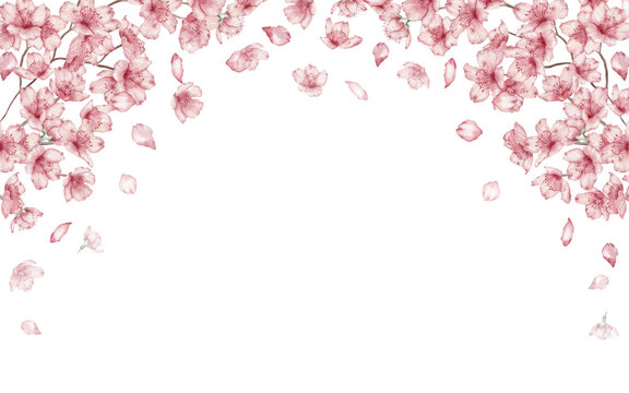 Watercolor floral illustration – Border Sakura, Cherry blossom, spring flowers, branch, twig, wedding design.
