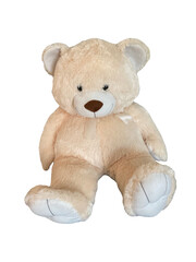 teddy bear isolated on white