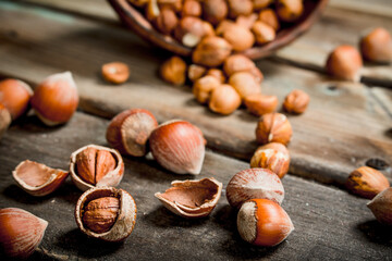 Hazelnuts in the shell.