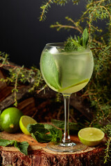 Gin and Tonic cocktail with lime and mint.