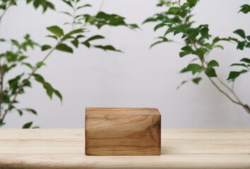 empty wooden podium texture on tabletop with tree branch fresh green leaf white space background.organic healthy natural product pedestal platform promotion show display,spring banner concept design.