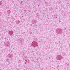 Pink sponge texture. Close-up of a pink cosmetic sponge for background. Macro