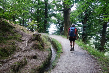 Obraz premium Auf dem Schenner Waalweg