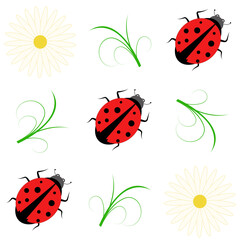 Ladybug and chamomile flowers seamless pattern for kids. Vector, illustration.