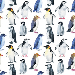 Obraz premium penguin pattern watercolor. watercolor cute penguin pattern. Watercolor cute animal. Watercolor cute bird. Hand painting isolated white background. birds. 