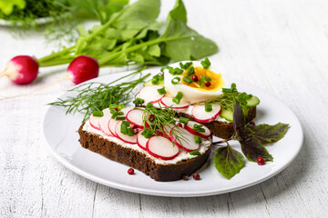 Healthy sandwiches with radish, cucumber, egg, curd cheese, sprinkled with green onions and pink pepper. Copy space