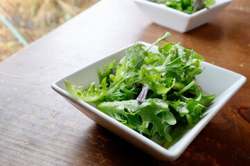 フリルレタスのサラダ
