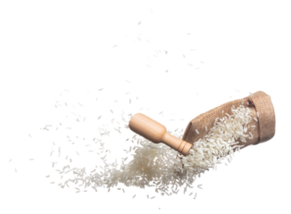 Japanese Rice in sack bag flying explosion, white grain rices fall abstract fly. Beautiful complete seed rice bag splash in air, food object design. White background isolated, high speed freeze motion