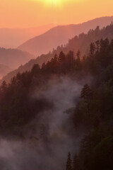 Foggy sunset. Great Smokey Mountains National Park, Tennessee.