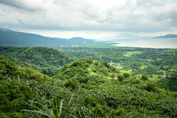 Fototapeta na wymiar Panoramic overlooking view of green tropical vegetation