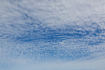 Obraz premium Blue sky