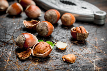 Hazelnut with green leaves .