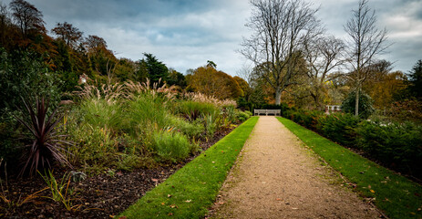 aleja w parku Kearsney Abbey