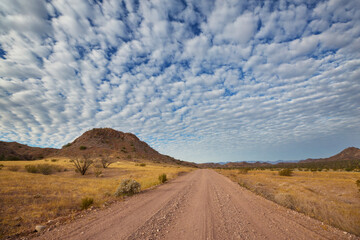 Road in Baja