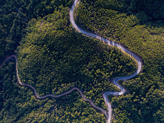 Aerial View of Countryside Road Passing Through the Green Forrest and Mountain.