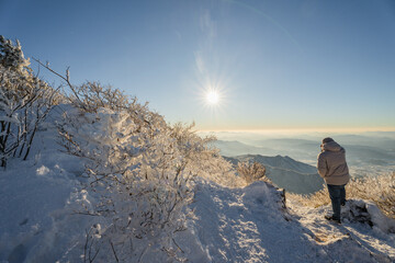 Muju resort Snow flake covered tree at Muju deogyusan ski resort in at deogyusan mountain in muju city south Korea